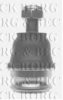 BORG & BECK BBJ5395 Ball Joint